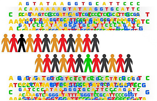 DECLARACIÓN UNIVERSAL SOBRE EL GENOMA HUMANO Y LOS DERECHOS HUMANO