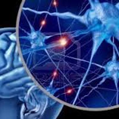 Timeline: Las Neurociencias de la conducta, un viaje que no se detiene.