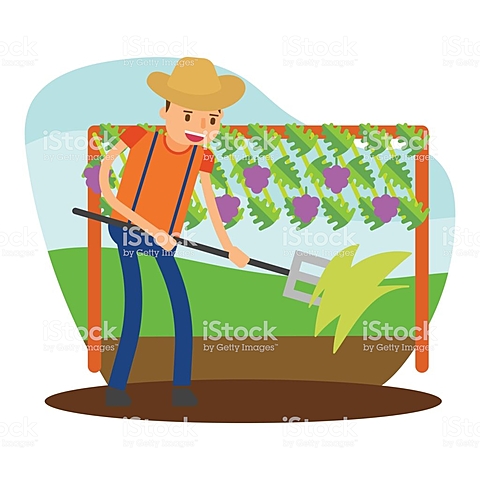 Tinc el meu primer treball