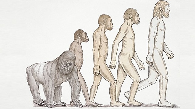 Homo Sapiens