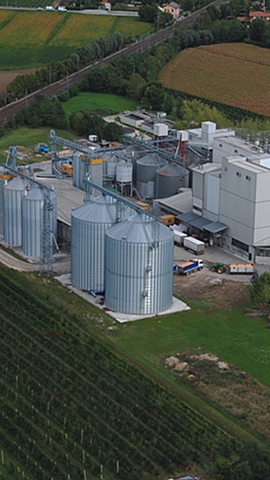 INTERNACIONALIZACIÓN | ABSORCIÓN DEL MERCADO.