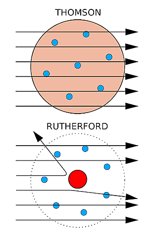 The nuclear model