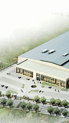 ABSORCIÓN DEL MERCADO | INTERNACIONALIZACIÓN