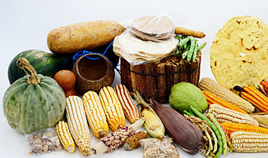 TRATADO INTERNACIONAL SOBRE LOS RECURSOS FITOGENÉTICOS PARA LA ALIMENTACIÓN Y LA AGRICULTURA APROBADO POR LA CONFERENCIA DE LA FAO