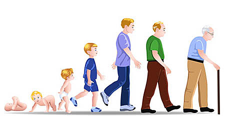 Actualidad: Etapas del desarrollo Humano