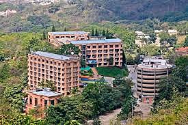 Johnson del New Media Consortium