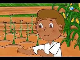 Escoger el terreno adecuado.