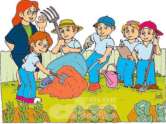 Elaboración de abonos.