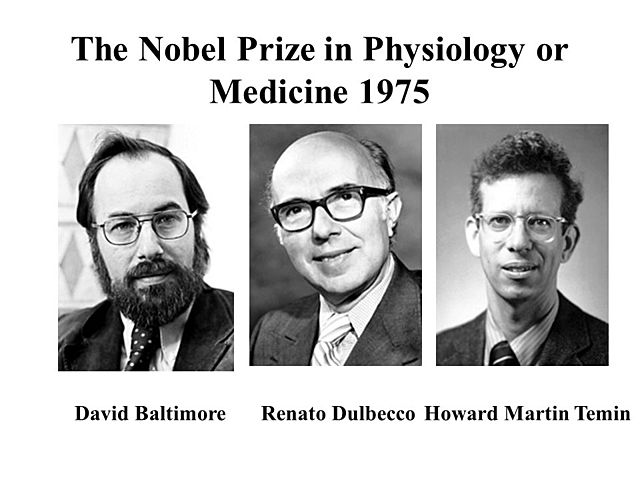 Howard Temin, Renato Dulbecco y David Baltimore