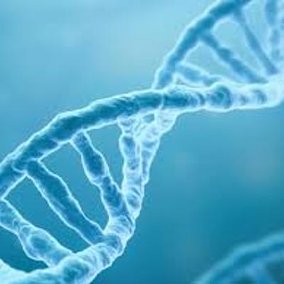 Timeline: LA EVOLUCIÓN DEL CONOCIMIENTO DEL ADN