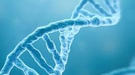 Timeline: LA EVOLUCIÓN DEL CONOCIMIENTO DEL ADN