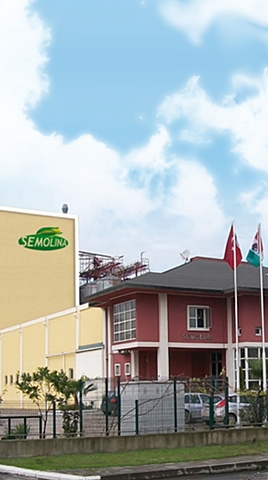 INTERNACIONALIZACIÓN | ABSORCIÓN DEL MERCADO |INNOVACIÓN