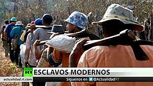 Problematica Social: Capitalismo Extremo