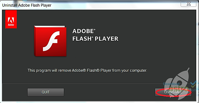 Adobe Flash