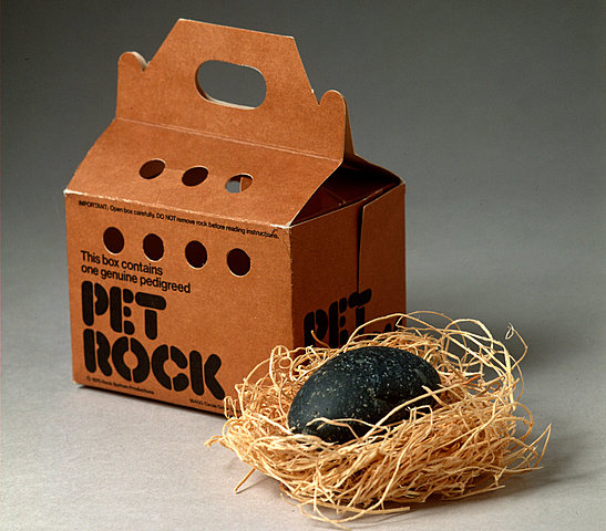 Pet rock