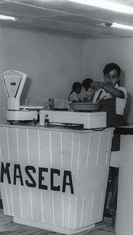 MASECA — (INNOVACIÓN, TECNOLOGÍA y PROPIEDAD INDUSTRIAL)