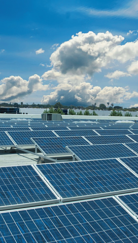 Naturaleza amiga — (INNOVACIÓN y TECNOLOGÍA)