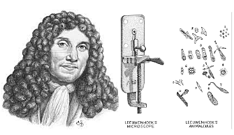 ANTON VAN LEEUWENHOEK