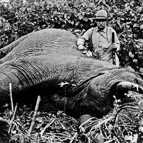 Teddy Roosevelt in Africa