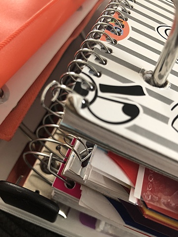 Yo Fui a Cross Creek