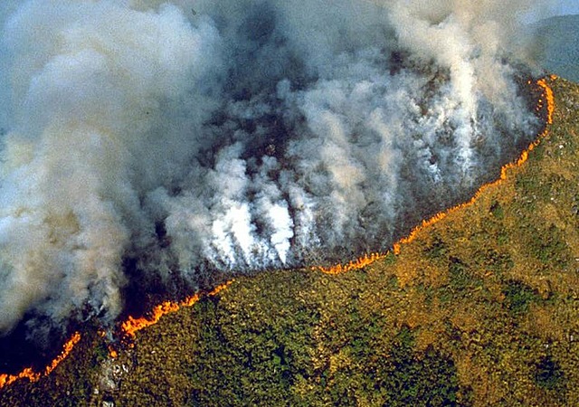 The Amazon Fires Continue