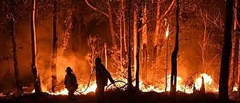 The Australian wildfires