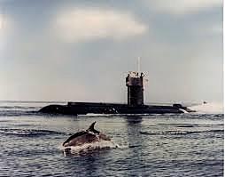 USS Dolphin incident