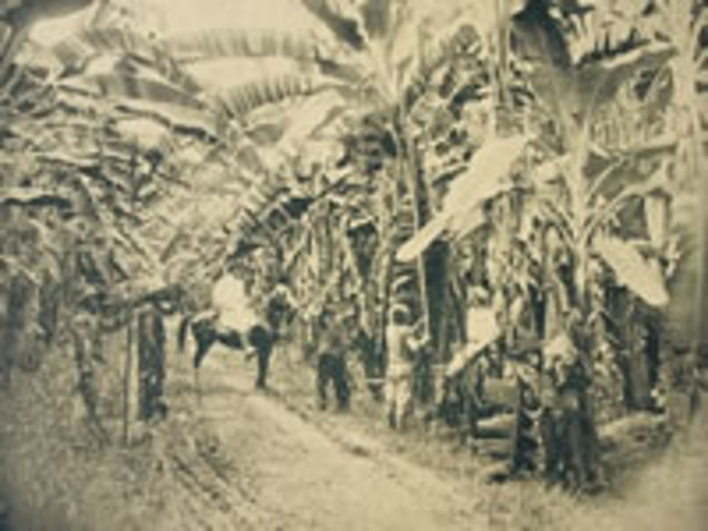 MASACRE DE LAS BANANERAS