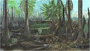 Carboniferous Period