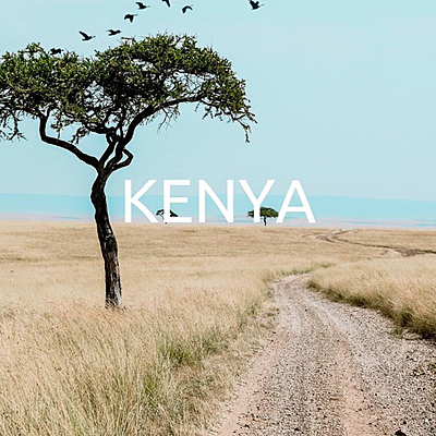 Timeline: Kenyan Timeline-Laila F.