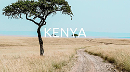 Timeline: Kenyan Timeline-Laila F.