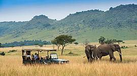 Timeline: Kenyan Timeline