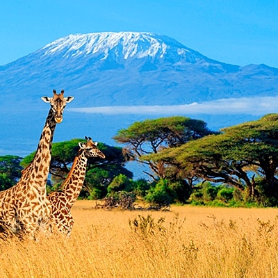 Timeline: Kenya Timeline