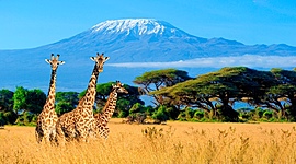 Timeline: Kenya Timeline