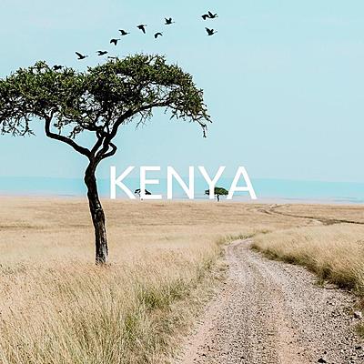 Timeline: Kenya timeline