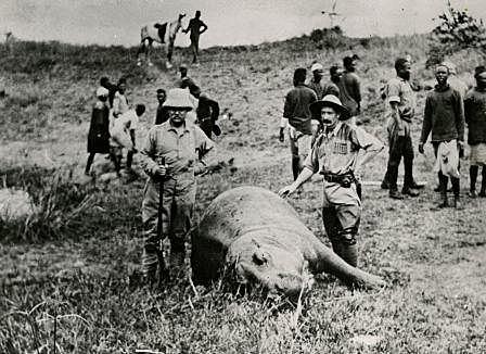 Roosevelt leaves Presidency, visits Africa