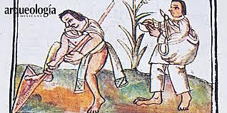 el desarrollo de nuevas técnicas