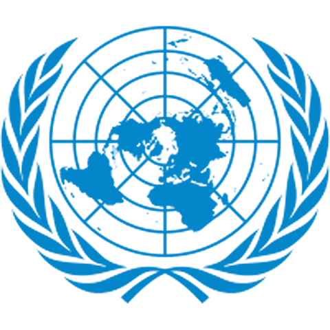 Criação da ONU (organização das nações unidas)