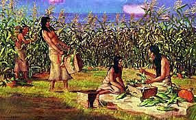 primeros conocimientos dela agricultura