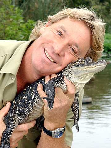STEVE IRWIN DIES