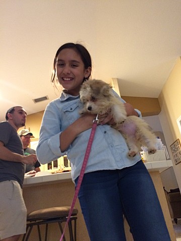 The day I got my dog