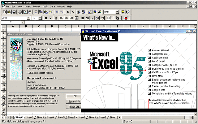 Excel 7.0 ó Excel 95