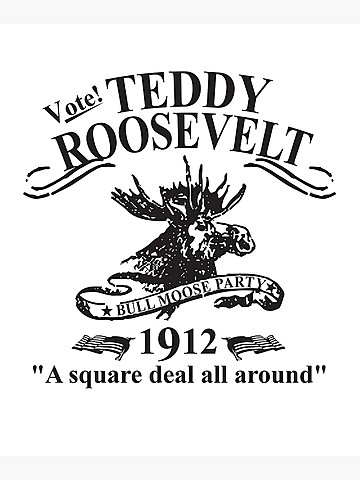 Roosevelt ran for president unsuccessfully