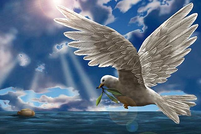 La paloma como medio de comunicacion