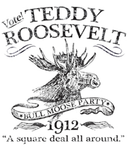 Runs for presidency, unsuccessfully for Bull-Moose Party