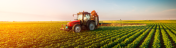 DINAMISMO DEL SECTOR AGROPECUARIO