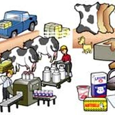 Timeline: Modelo ISI