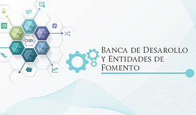 Banca de Desarrollo