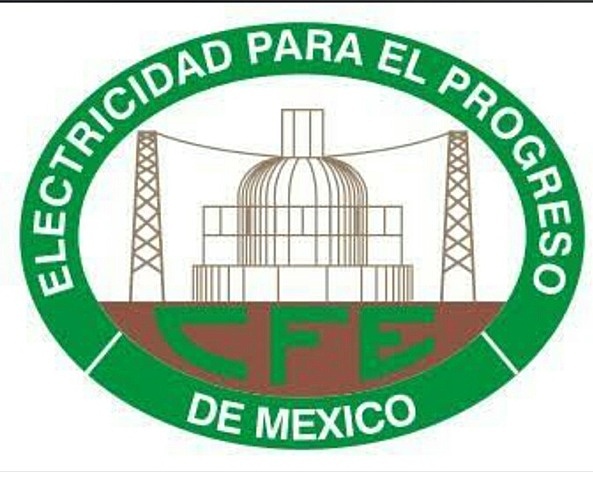 Se autoriza constituir a la Comisión Federal de Electricidad