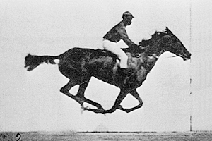Eadweard Muybridge: el año que fotografió el caballo "volando"